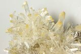 Spectacular, Mango Quartz Crystal Cluster - Cabiche, Colombia #188378-4